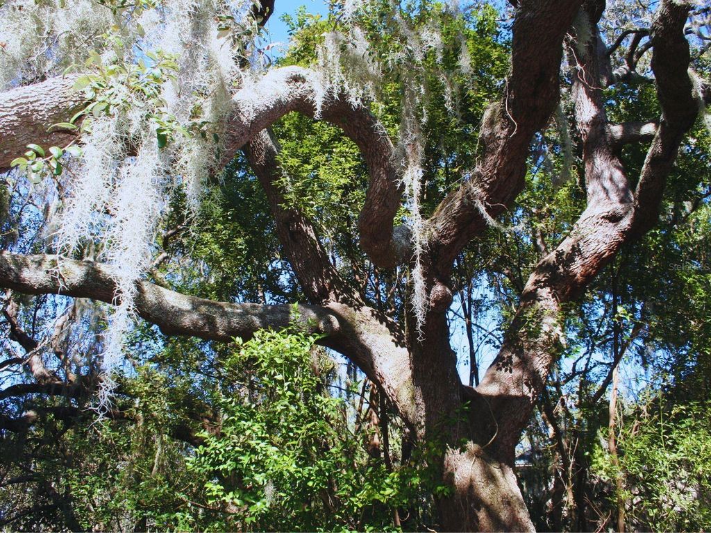 Image 37 of property listing at 130 WOOD RIDGE TRAIL, Sanford, FL 32771