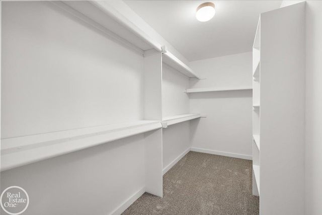 22121 Tahquamenon Court, Macomb Twp, MI 48044