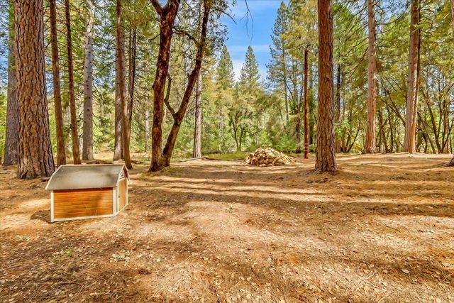 18131 Blue Tent School Rd, Nevada City, CA 95959