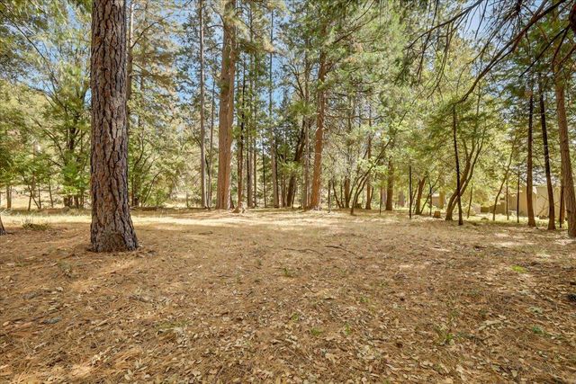 18131 Blue Tent School Rd, Nevada City, CA 95959