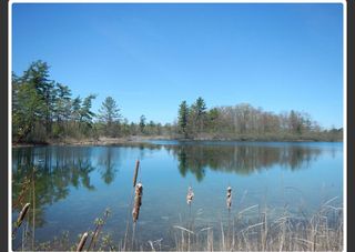 10345 Morgan Mills Avenue, Greenville, MI 48838