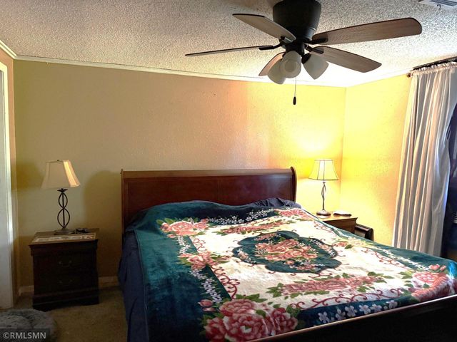 31925 Paul Avenue, Bigelow Twp, MN 56187