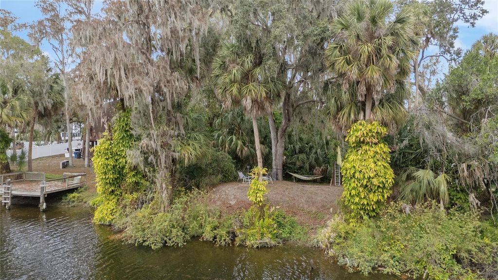 Image 25 of property listing at 4162 ALAFIA BOULEVARD, Brandon, FL 33511