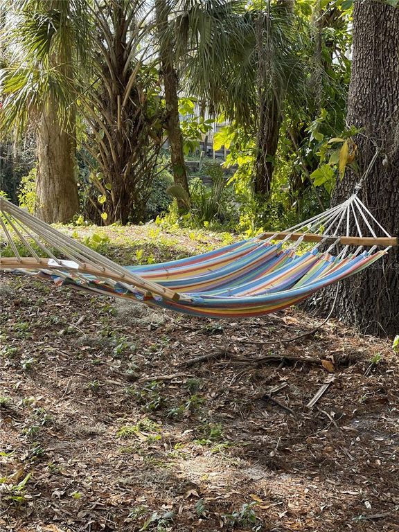 Image 29 of property listing at 4162 ALAFIA BOULEVARD, Brandon, FL 33511