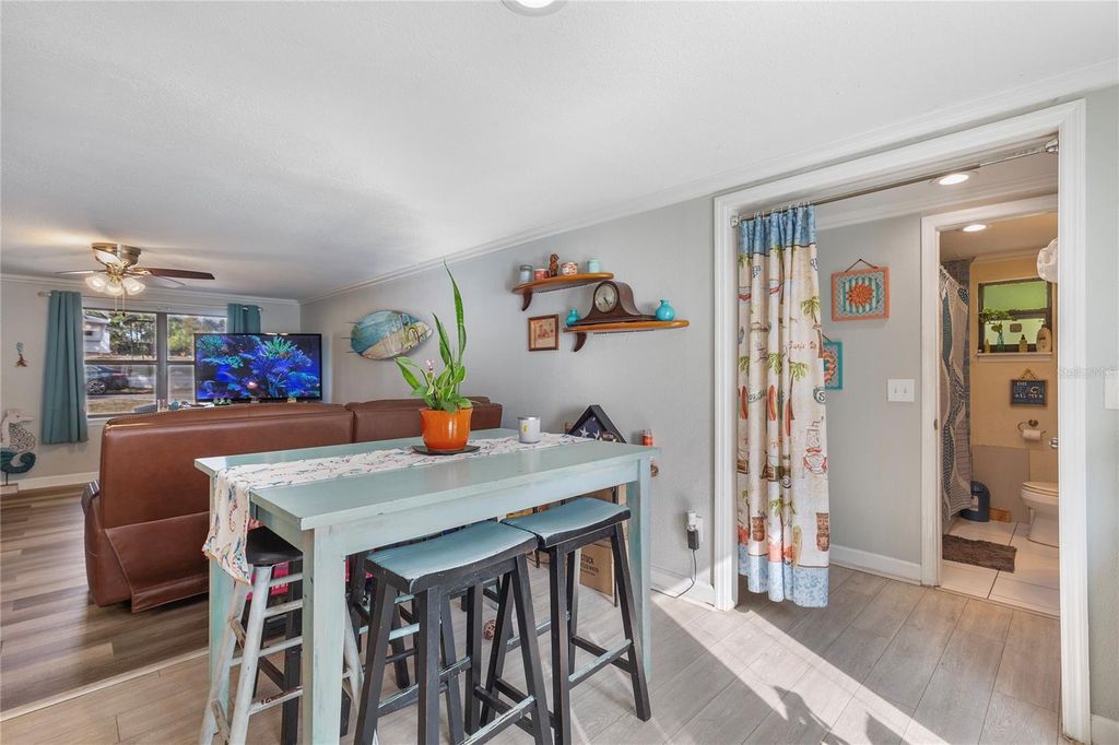 Image 7 of property listing at 4162 ALAFIA BOULEVARD, Brandon, FL 33511