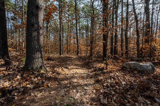 135 Pine River Path, Effingham, NH 03882