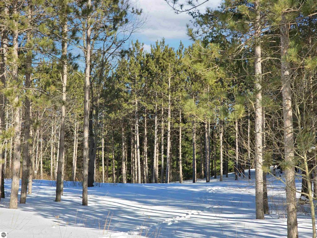 Image 10 of property listing at 11055 French Court, Williamsburg, MI 49690