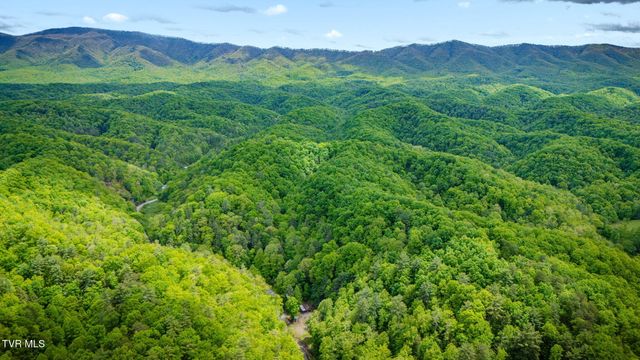 556 Underwood Springs Branch Road, Bluff City, TN 37618