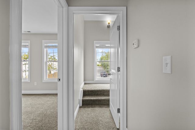 209 Old Todds Road 11102, Lexington, KY 40509