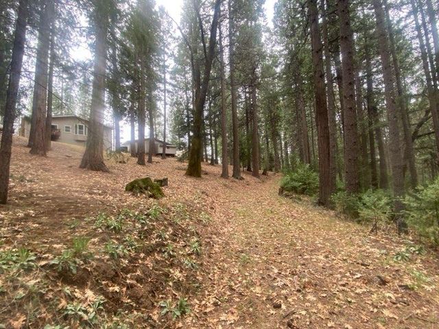 9427 Grizzly Flat Rd, Grizzly Flats, CA 95636