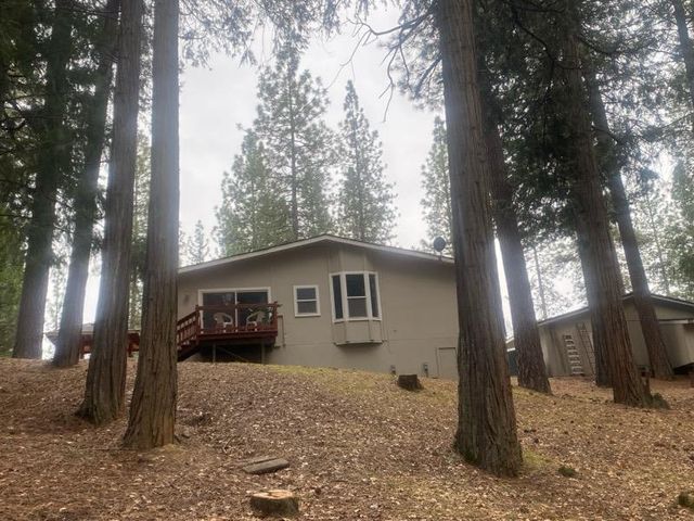 9427 Grizzly Flat Rd, Grizzly Flats, CA 95636