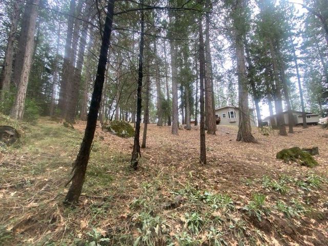 9427 Grizzly Flat Rd, Grizzly Flats, CA 95636