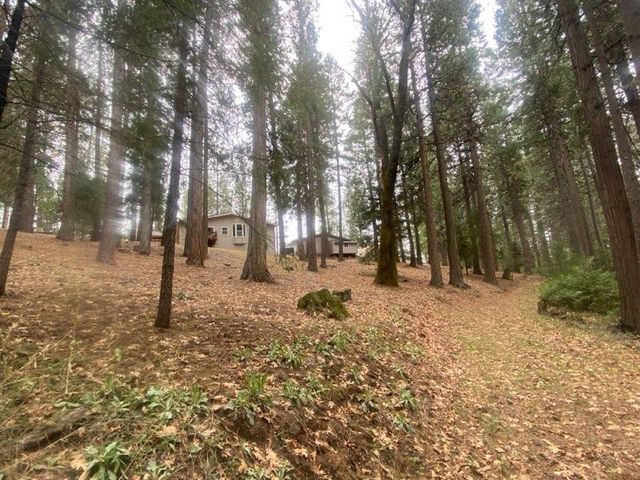 9427 Grizzly Flat Rd, Grizzly Flats, CA 95636