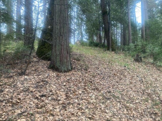 9427 Grizzly Flat Rd, Grizzly Flats, CA 95636