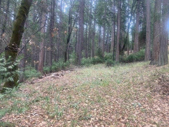 9427 Grizzly Flat Rd, Grizzly Flats, CA 95636