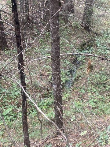 9427 Grizzly Flat Rd, Grizzly Flats, CA 95636