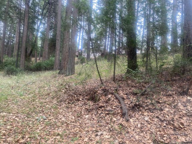 9427 Grizzly Flat Rd, Grizzly Flats, CA 95636