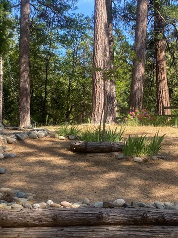 9427 Grizzly Flat Rd, Grizzly Flats, CA 95636