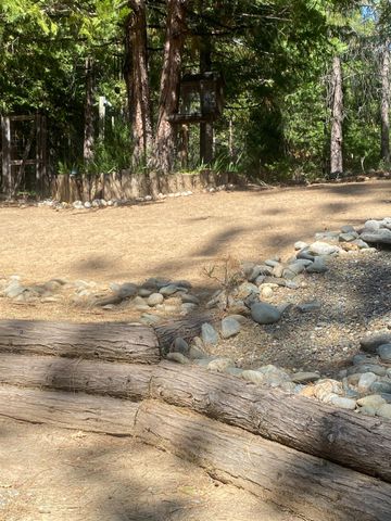 9427 Grizzly Flat Rd, Grizzly Flats, CA 95636