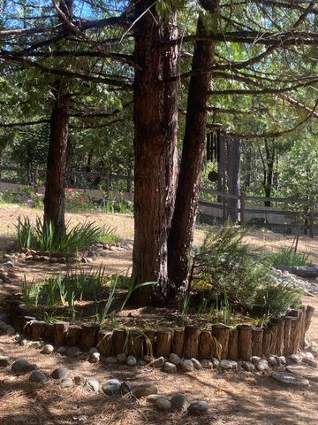 9427 Grizzly Flat Rd, Grizzly Flats, CA 95636