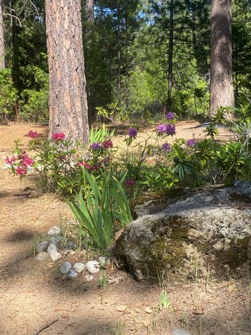 9427 Grizzly Flat Rd, Grizzly Flats, CA 95636
