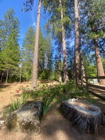 9427 Grizzly Flat Rd, Grizzly Flats, CA 95636