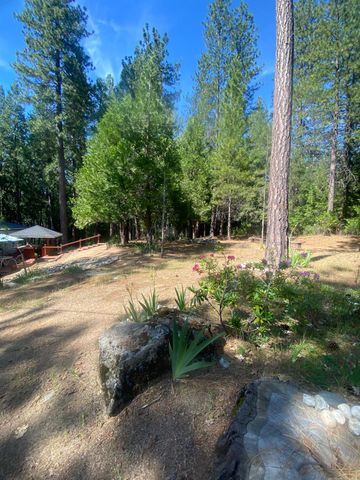 9427 Grizzly Flat Rd, Grizzly Flats, CA 95636