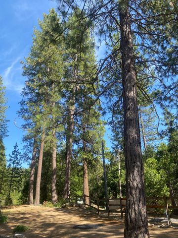 9427 Grizzly Flat Rd, Grizzly Flats, CA 95636