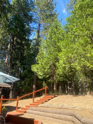 9427 Grizzly Flat Rd, Grizzly Flats, CA 95636
