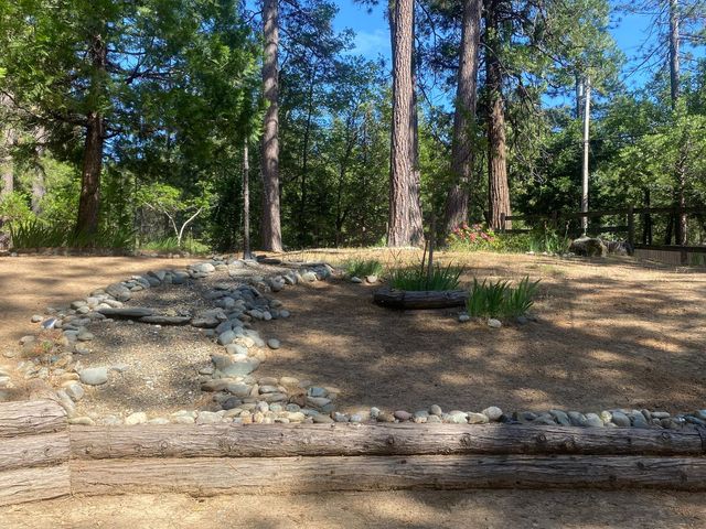 9427 Grizzly Flat Rd, Grizzly Flats, CA 95636