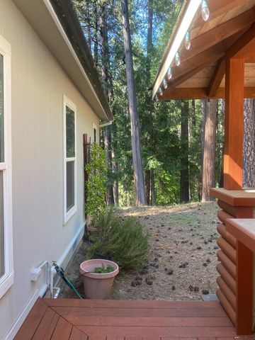 9427 Grizzly Flat Rd, Grizzly Flats, CA 95636