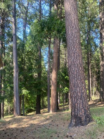 9427 Grizzly Flat Rd, Grizzly Flats, CA 95636