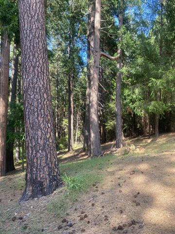 9427 Grizzly Flat Rd, Grizzly Flats, CA 95636