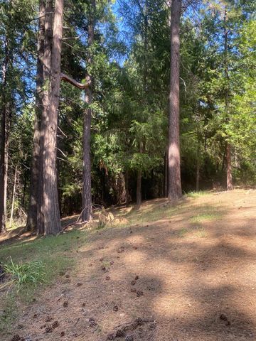 9427 Grizzly Flat Rd, Grizzly Flats, CA 95636