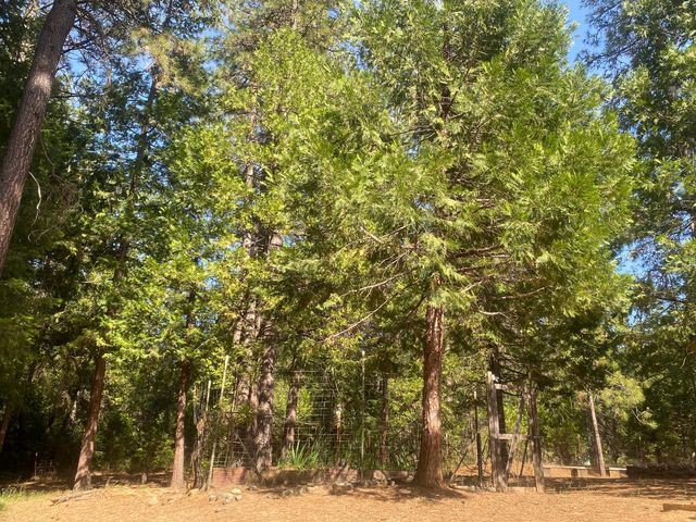 9427 Grizzly Flat Rd, Grizzly Flats, CA 95636