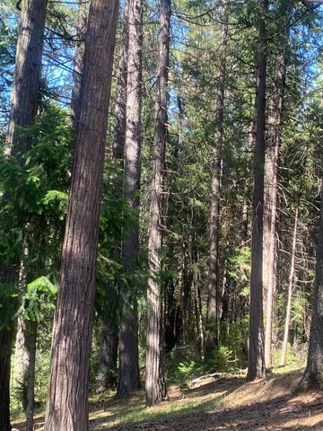 9427 Grizzly Flat Rd, Grizzly Flats, CA 95636
