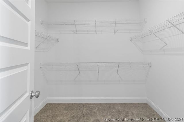 2953 S River School Road, Wade, NC 28395