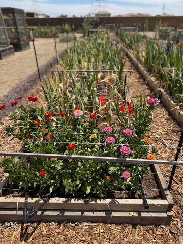 9173 Vervain Way, Sacramento, CA 95829