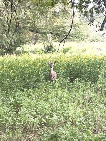 143 Taff Place, Leakey, TX 78873