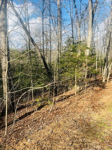 00 Ford Lane, Murphy, NC 28906