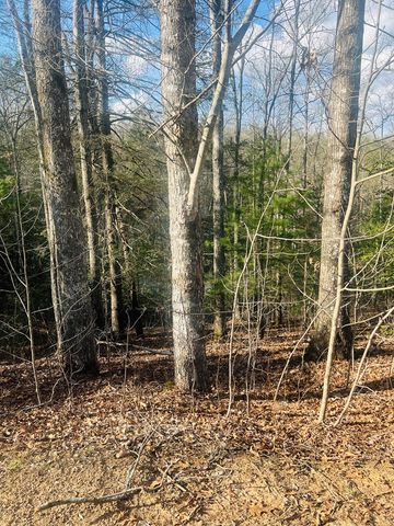 00 Ford Lane, Murphy, NC 28906