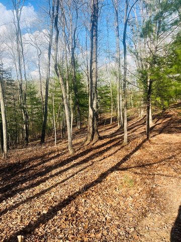 00 Ford Lane, Murphy, NC 28906