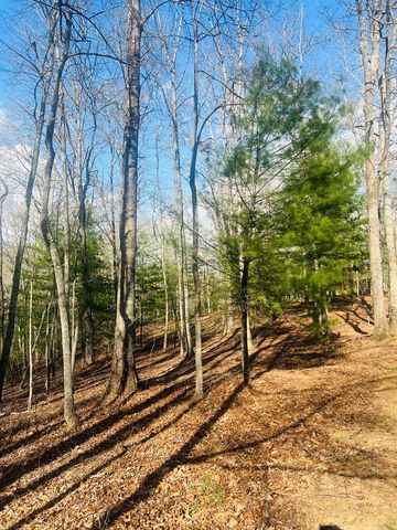 00 Ford Lane, Murphy, NC 28906