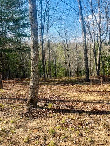 00 Ford Lane, Murphy, NC 28906