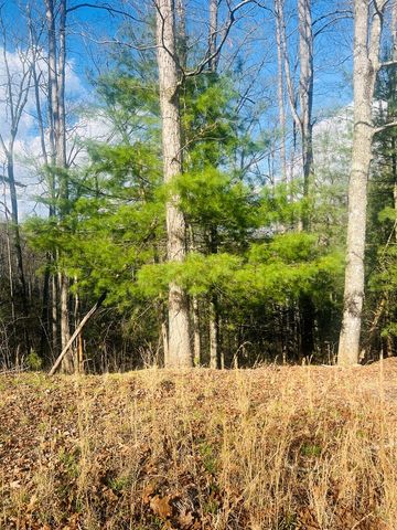 00 Ford Lane, Murphy, NC 28906