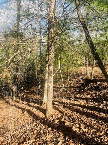 00 Ford Lane, Murphy, NC 28906