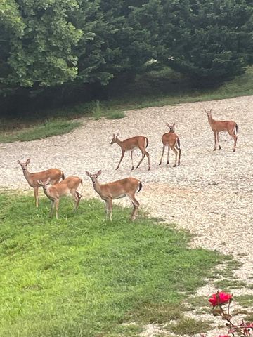 64 Starlight Lane, Blairsville, GA 30512