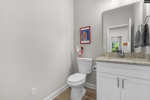 133 Night Harbor Drive, Chapin, SC 29036