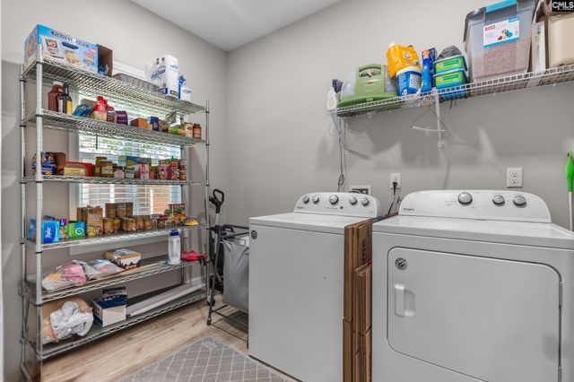 133 Night Harbor Drive, Chapin, SC 29036