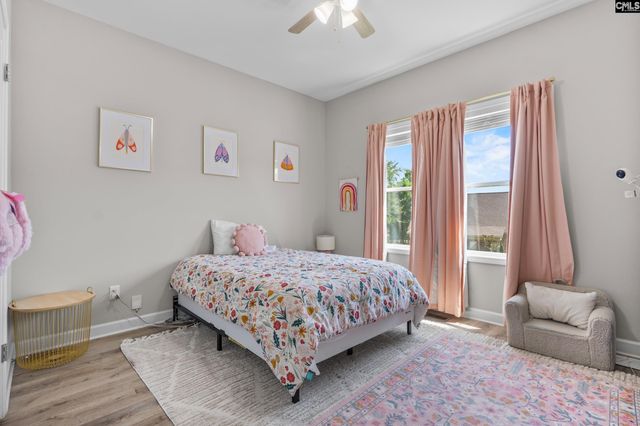 133 Night Harbor Drive, Chapin, SC 29036